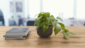 Minimalist home environment supporting emotional harmony and mental clarity